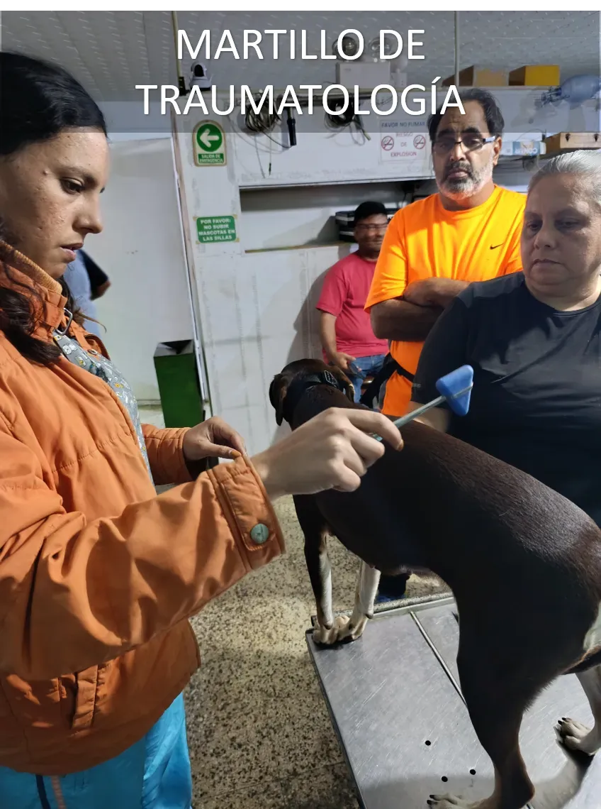 Fisioterapia